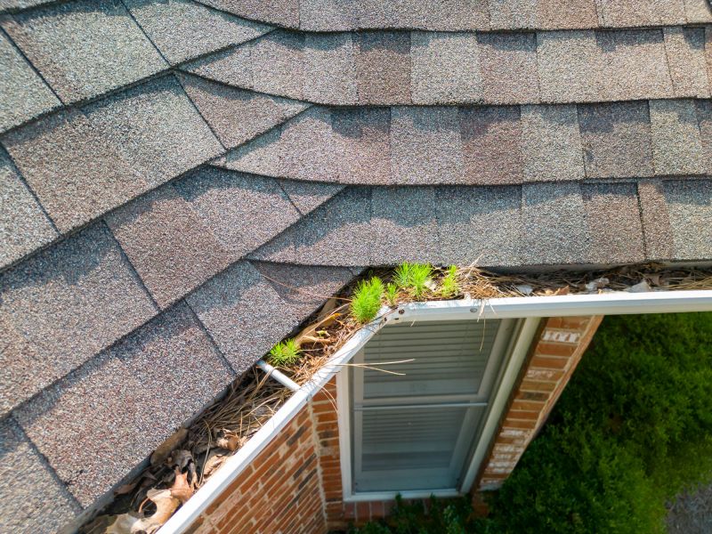 Gutter and Downspout Cleaning