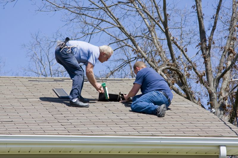 Roofing Service in Spring